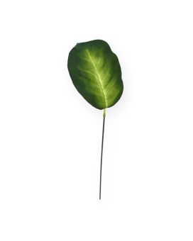 Artificial Dieffenbachia leaf