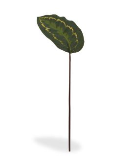 Artificial Roseopicta Branch 50 cm