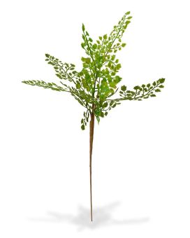 Artificial Adiantum branch PL 50 cm