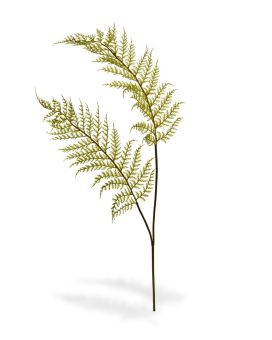 Artificial Fern Branch x2 80 cm