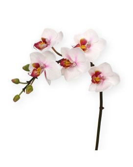 Artificial Mini Phalaenopsis Orchid 50 cm pink