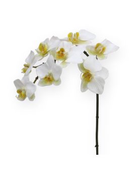 Faux Phalaenopsis Orchid 80 cm white