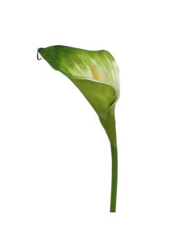 Artificial Calla stem flower 55 cm green-white