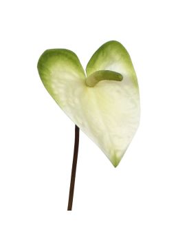 Artificial Anthurium M stem flower 55 cm white-green