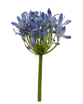 Agapanthus Branch Deluxe 60 cm lilac