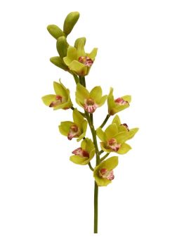 Artificial Cymbidium Deluxe 70 cm green