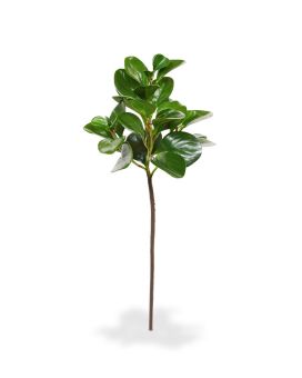 Artificial Peperomia Obtusifolia branch 50 cm