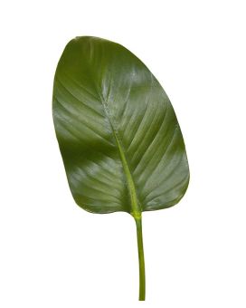 Artificial Strelitzia leaf deluxe 75 cm