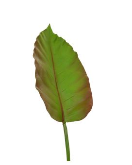 Artificial Caladium leaf deluxe 75 cm