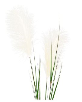 Artificial Pampas Grass stem 120 cm cream