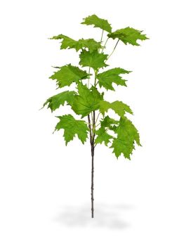 Artificial Maple branch deluxe 80 cm green