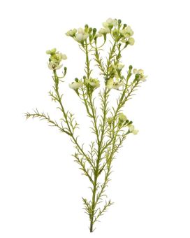 Artificial Waxflower branch 65 cm green