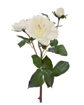 Artificial Rose branch Ruffle 50 cm cream