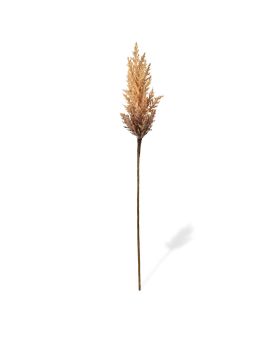 Artificial Reedplum branch 85 cm cream
