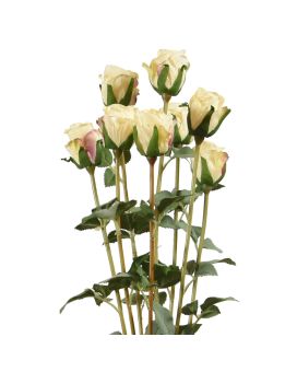 Artificial Rose bundle x8 70 cm creme