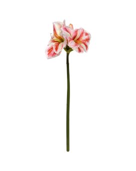 Amaryllis Artificial Flower 67cm White Red