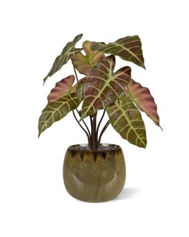 Alocasia Artificial Plant 40cm Burgundy