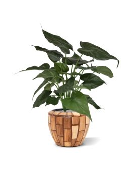 Artificial Alocasia Cucullata plant 50cm