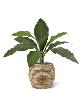 Anthurium Jungle King artificial plant 60cm