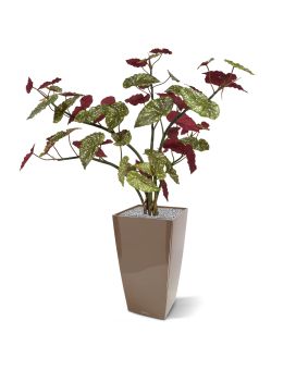 Artificial Begonia Maculata 110cm