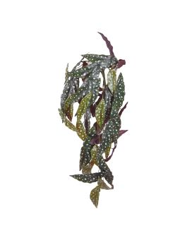 Begonia Maculata Artificial hangingplant 80cm