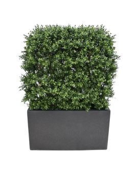 Artificial Boxwood Hedge Deluxe 80x100 cm UV