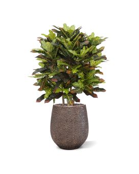 Artificial Croton Deluxe XL 90 cm