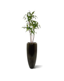 Artificial Draceana Fragrans plant 125cm