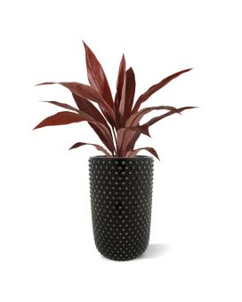 Artificial Draceana plant 60 cm red/burgundy