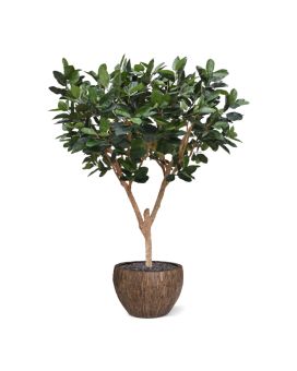 Artificial Elastica Robusta XL tree 300cm green