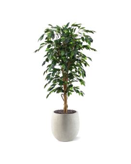 Ficus Benjamini artificial tree 150 cm