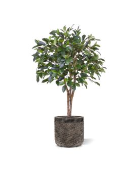 Faux Ficus Folia plant on stem 75cm
