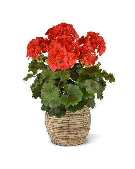 Artificial Geranium PL XL 40cm red UV proof