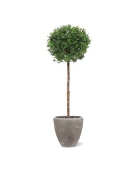 Artificial Ilex ball on trunk 135 cm UV