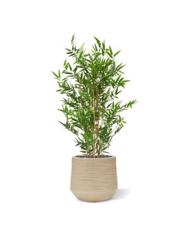 Artificial Japanese Bamboo Plant 90 cm UV