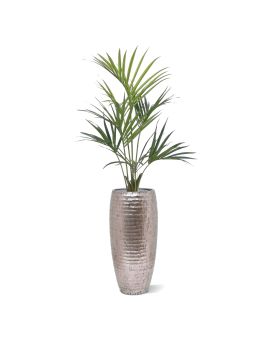Artificial Kentia Palmtree Deluxe 135 cm