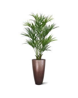 Artificial Kentia Palm tree XL Deluxe 190cm