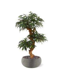 Artificial Shirakashi Bonsai tree 80 cm