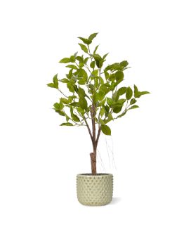 Artificial Ficus Natacha Bonsai 60cm green