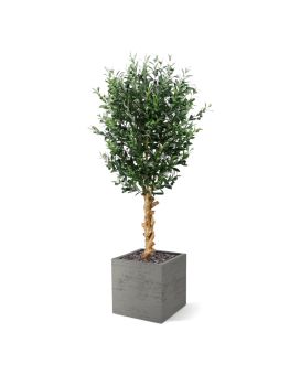Artificial Olive tree Deluxe 155cm
