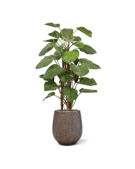Artificial Pothos Climbing Plant 125cm Deluxe