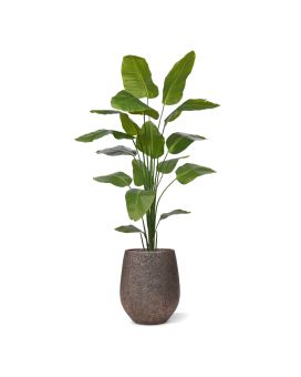 Artificial Strelitzia Nicolai plant 210cm
