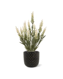 Faux Lavender plant 30cm UV cream