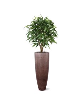 Artificial Longifolia XL Deluxe 120 cm