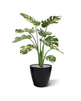 Artificial Monstera Deliciosa 95cm varigated