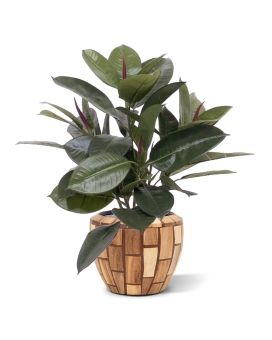 Artificial Philodendron Windowplant 50 cm