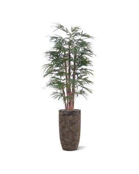 Artificial Raphis Palm 190cm Deluxe