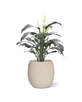 Artificial Spathiphyllum plant Deluxe 80cm