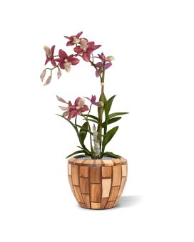 Artificial Spider Orchid burgundy 50cm
