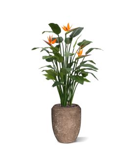 Artificial Strelitzia Deluxe 145cm